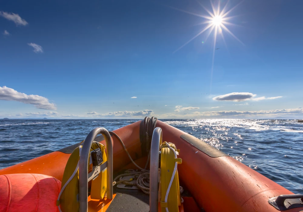 A Short Guide to RIB Insurance